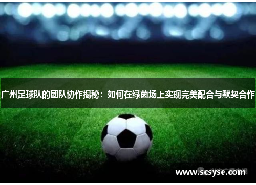 广州足球队的团队协作揭秘：如何在绿茵场上实现完美配合与默契合作
